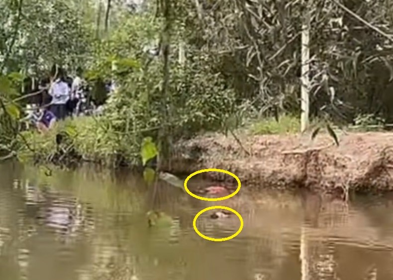 Vụ 2 người tử vong dưới hầm múc Sao Mai (Tây Ninh): Không có dấu hiệu tội phạm -0