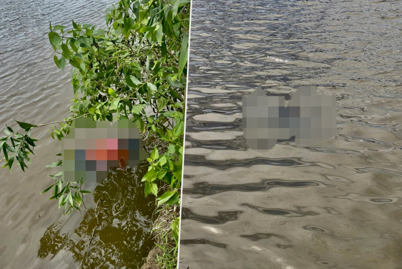 Vụ 2 người tử vong dưới hầm múc Sao Mai (Tây Ninh): Không có dấu hiệu tội phạm -0