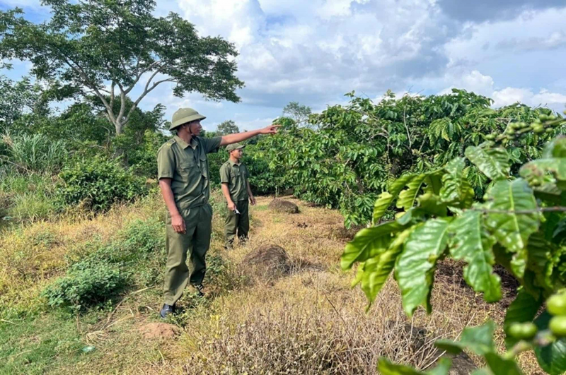 Ngăn chặn nạn trộm cắp nông sản ở Lâm Đồng -0