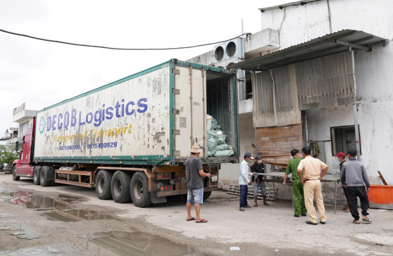 CSGT kịp thời ngăn chặn xe đầu kéo chở 30 tấn thịt lợn, gà đông lạnh không rõ nguồn gốc -0