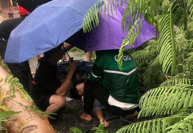 Hải Phòng: gió lốc làm đổ cây khiến 1 cháu bé bị thương -0