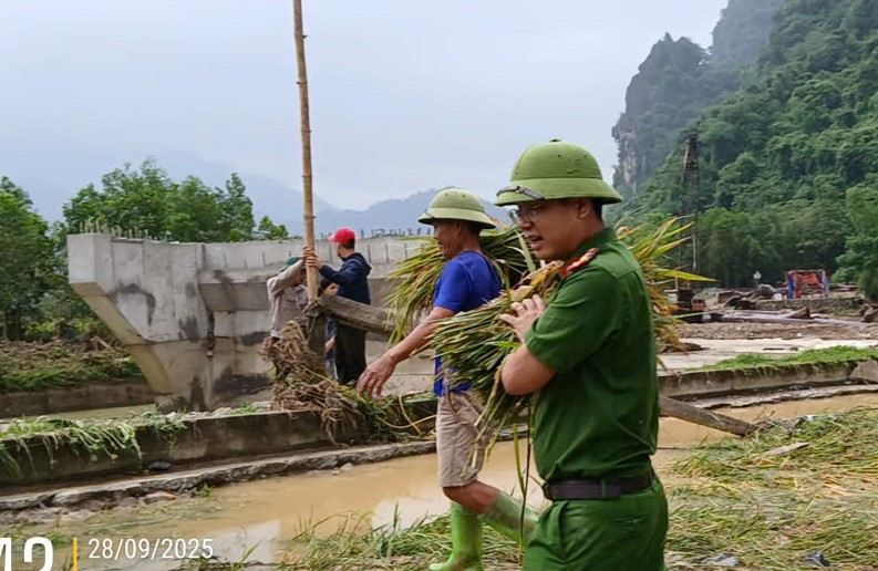 Công an xã Vạn Xuân giúp dân gặt lúa “chạy bão” -0
