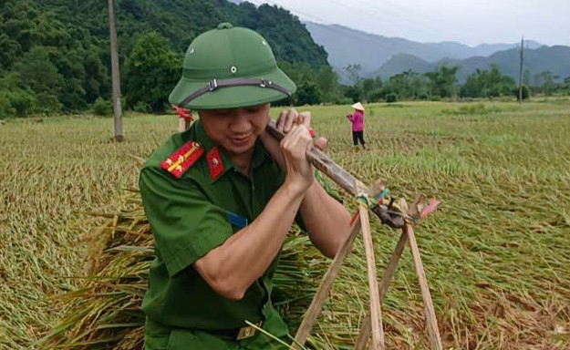 Công an xã Vạn Xuân giúp dân gặt lúa “chạy bão” -0
