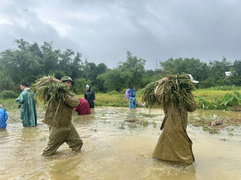 Hạn chế người dân ra đường trong thời gian bão đổ bộ và mưa lũ lớn -0