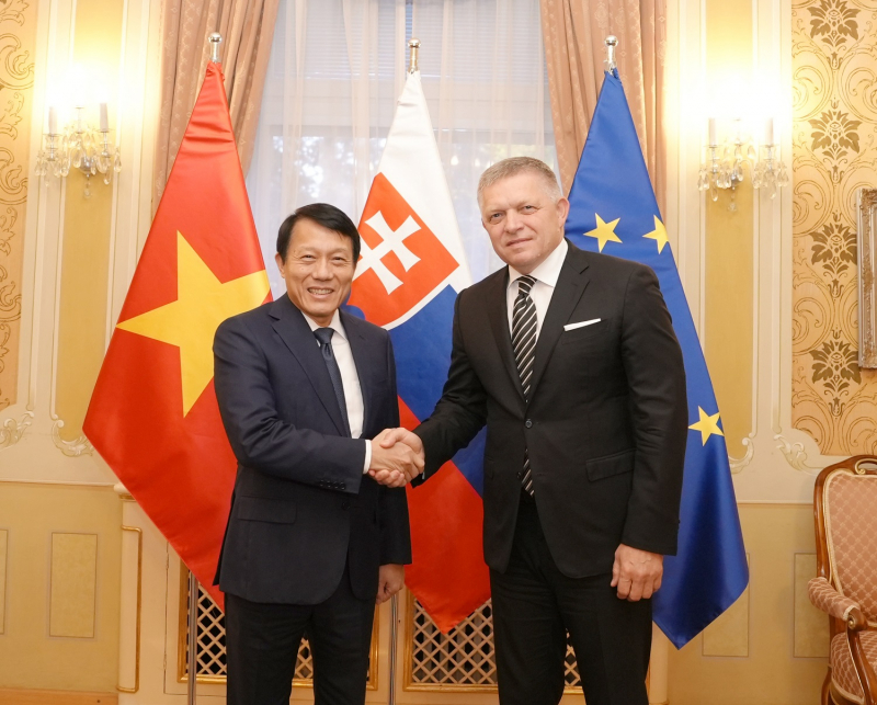 Thủ tướng Slovakia Robert Fico tiếp Bộ trưởng Lương Tam Quang -0