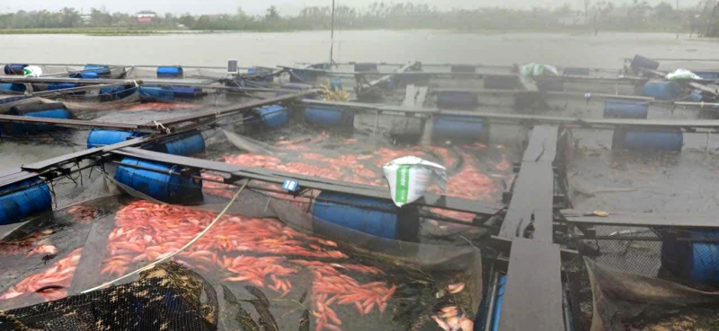 Doanh nghiệp, trường học tan hoang trước sức công phá của bão số 10 -1