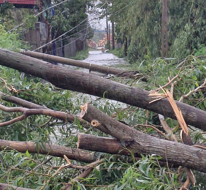 Những tâm hồn đẹp “Vì nhân dân phục vụ” trước trong và sau bão số 10 -0