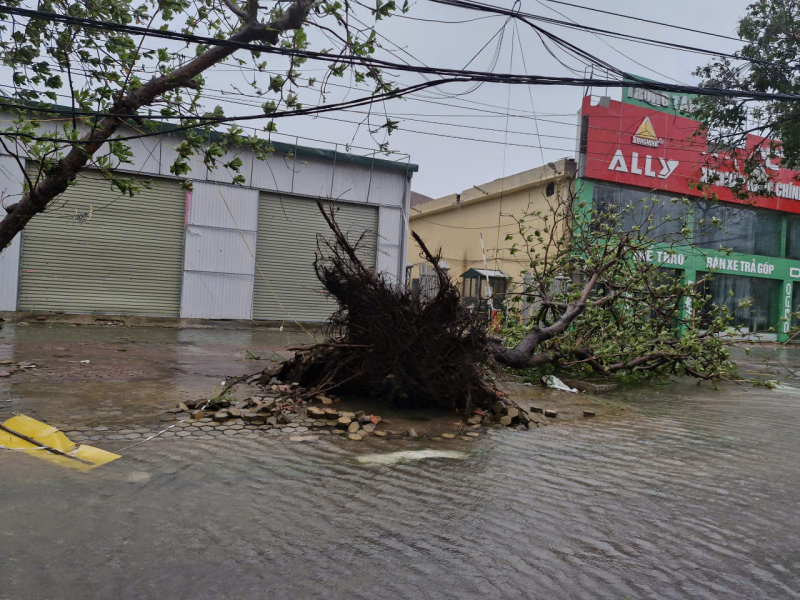 Bão số 10 gây thiệt hại nặng nề ở Nghệ An -0
