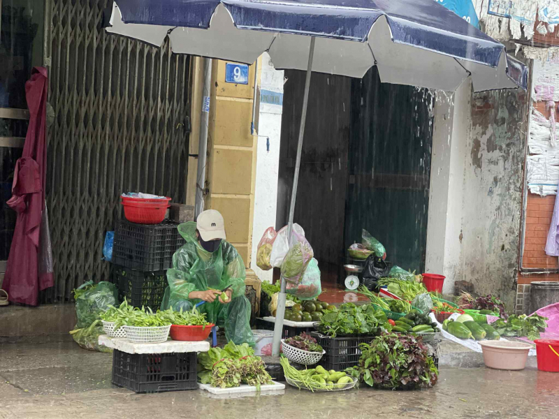 Mưa bão giá nguồn cung hàng hoá, giá cả rau xanh vẫn giữ ổn định -0