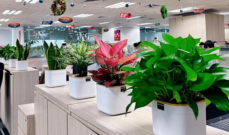 Xu hướng văn phòng xanh - Lợi thế tạo trải nghiệm đặc biệt cho khách thuê -0