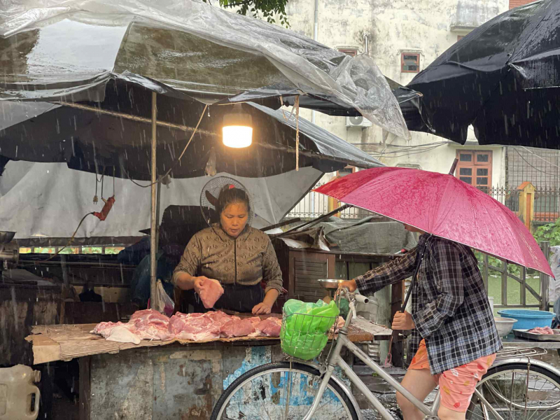 Mưa bão giá nguồn cung hàng hoá, giá cả rau xanh vẫn giữ ổn định -0