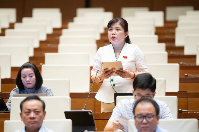 Đại biểu Quốc hội hoạt động chuyên trách cho ý kiến về các luật thuộc lĩnh vực quốc phòng, an ninh, đối ngoại, giám sát -0