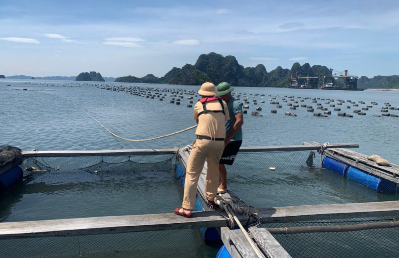 Quang Ninh setzt die Arbeiten zur Verhinderung der Zirkulation des Sturms Matmo -0 fort