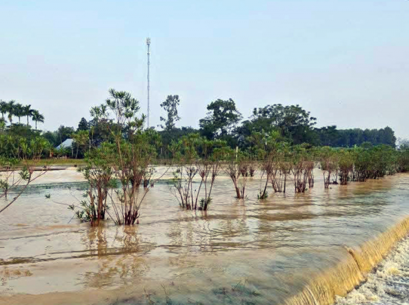 Hanoi - Thai Nguyen Expressway is deeply flooded, Police recommend safe route -0