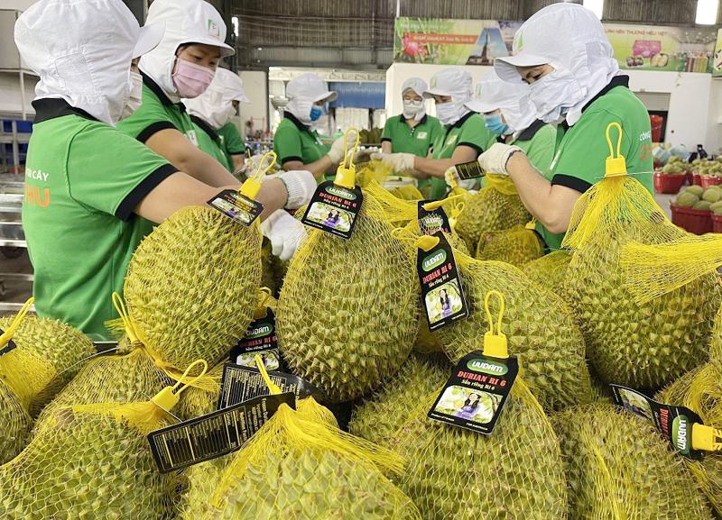 Rau quả Việt Nam xuất khẩu đạt mức cao kỷ lục -0