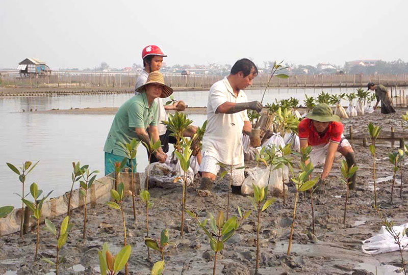 6-1-rung-ngap-man.jpg -0