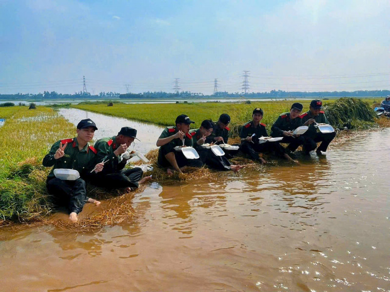 Học viện Chính trị CAND hỗ trợ nhân dân xã Đa Phúc thu hoạch lúa, hoa màu bị ngập úng -0