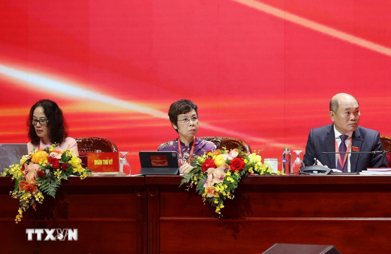 Đại hội đại biểu Đảng bộ Chính phủ lần thứ I họp phiên trù bị -0