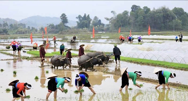 Phú Thọ và hành trình thắp sáng mạch nguồn văn hóa dân tộc -0