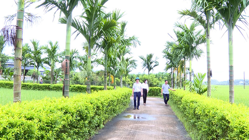 Nông thôn mới làm thay đổi diện mạo nhiều vùng quê xứ Thanh -0