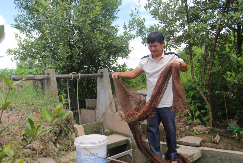 Agribank tiếp sức người nuôi cua Năm Căn Cà Mau -0