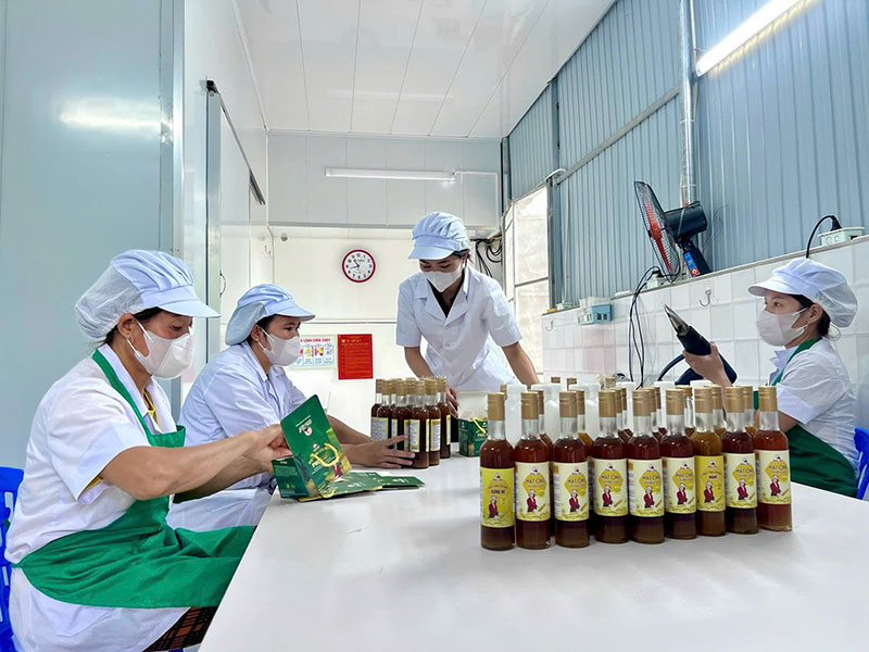 Nông thôn mới làm thay đổi diện mạo nhiều vùng quê xứ Thanh -0