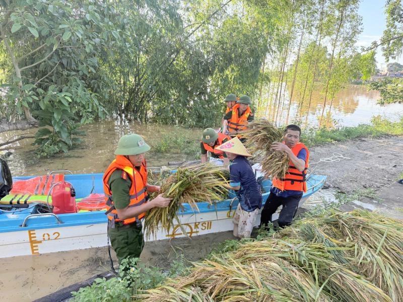 Kỳ 2: Từ “mệnh lệnh cứu dân” đến “mệnh lệnh vì dân mà ở lại” -0