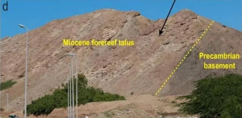 Biển Đỏ đà từng khô cạn hoàn toàn như thế nào? -0