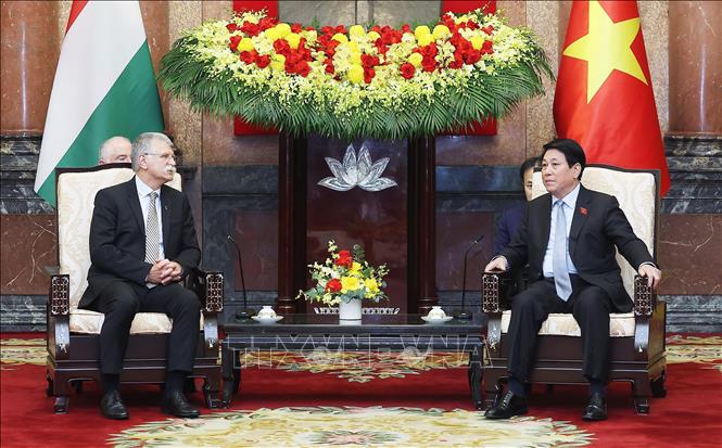 Chủ tịch nước Lương Cường tiếp Chủ tịch Quốc hội Hungary -0