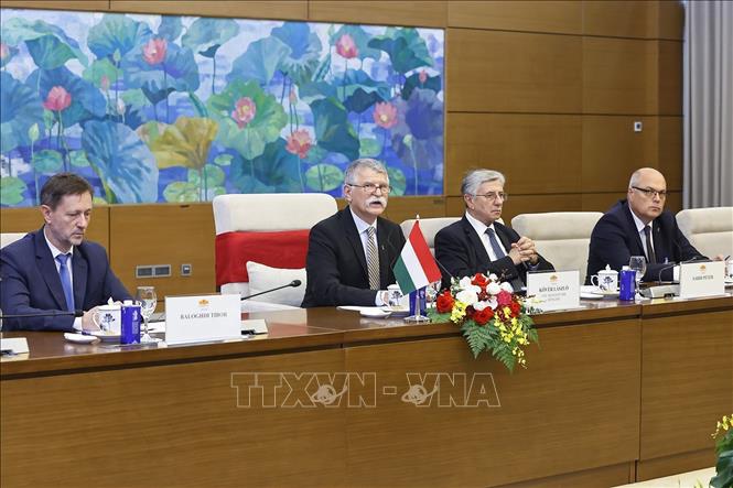 Việt Nam - Hungary thúc đẩy tăng cường tin cậy chính trị, mở rộng hợp tác song phương -0