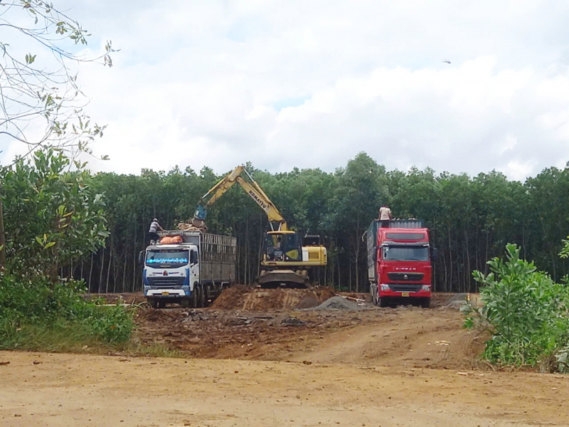 Từ phản ánh của Báo CAND, trạm cân kiểm, thu mua cây gỗ keo “mọc” lên trái phép đã được thu dọn -0