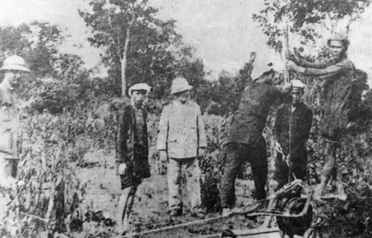 Từ “Phú Riềng Đỏ” đến khát vọng hội nhập - 96 năm bản lĩnh ngành Cao su Việt Nam -0