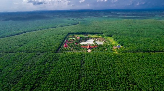 Từ “Phú Riềng Đỏ” đến khát vọng hội nhập - 96 năm bản lĩnh ngành Cao su Việt Nam -0