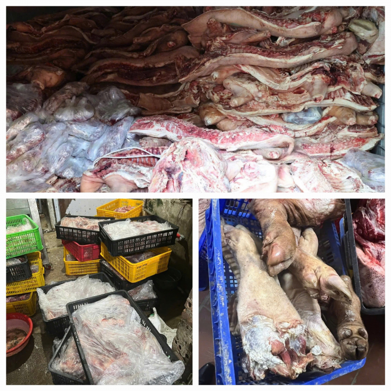 Khởi tố đối tượng giết mổ lợn nhiễm bệnh dịch tả Châu Phi bán ra thị trường -0