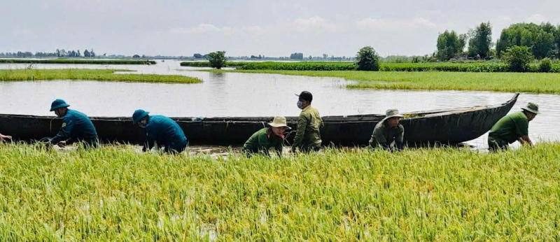 Dầm mình khắc phục hậu quả do mưa dông và lũ tràn về nhanh ở Tây Ninh -4