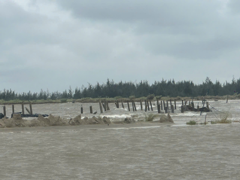 Đà Nẵng: Bờ đắp tạm sóng đánh vỡ, hàng tấn cá lồng bè bị cuốn trôi ra biển -1