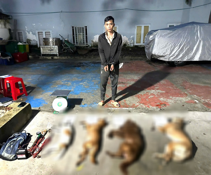Triệt phá nhóm dùng súng kích điện tự chế, bột ớt để trộm chó số lượng lớn  -1