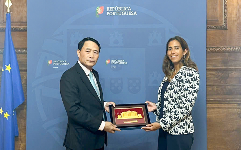 Việt Nam – Bồ Đào Nha mở rộng hợp tác phòng, chống tội phạm -0