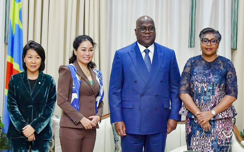 Vingroup nghiên cứu và phát triển đô thị quy mô lớn và giao thông xanh tại Congo -0