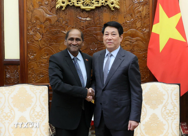 Chủ tịch nước tiếp Đại sứ Indonesia và Singapore đến chào từ biệt -0