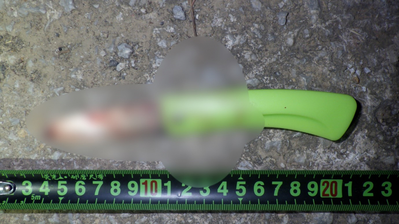 Bắt giữ 4 người nước ngoài cứa cổ tài xế taxi trên đường trốn sang Việt Nam tìm việc làm -0