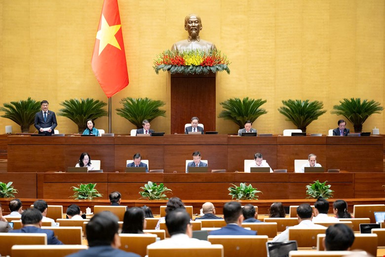 Đại biểu nêu thực trạng 