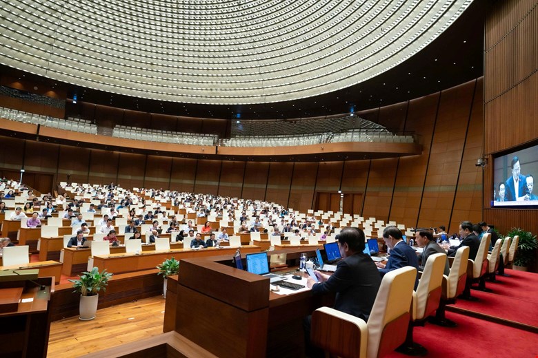 Đại biểu nêu thực trạng 