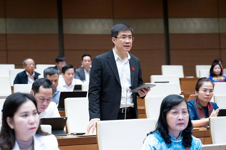 Đại biểu nêu thực trạng 