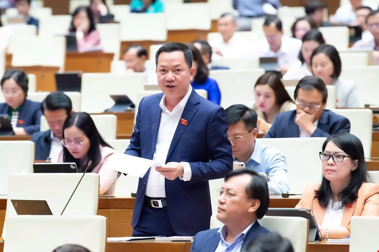 Xử lý triệt để 