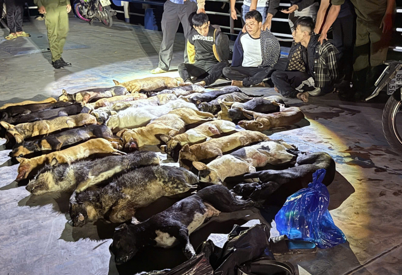 z7167593411122_68eb3cd325aba30c8a22aeea5a3d2e84.jpg -0