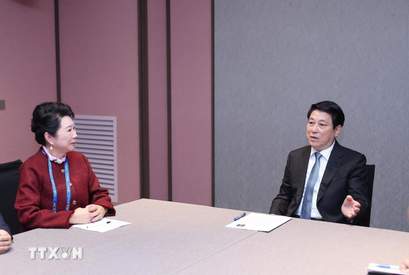 Chủ tịch nước Lương Cường tiếp Lãnh đạo các Tập đoàn -0