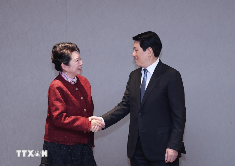 Chủ tịch nước Lương Cường tiếp Lãnh đạo các Tập đoàn -0