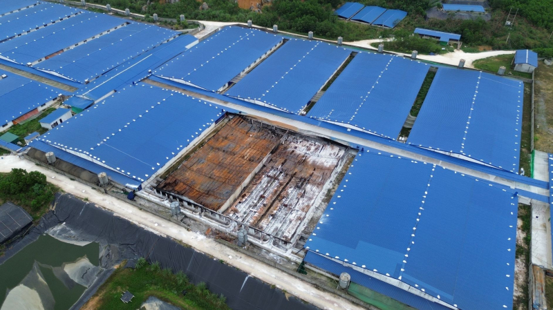 Hơn 1.000 con lợn chết cháy chưa được xử lý, người dân dựng lán phản đối vì mùi hôi thối -0