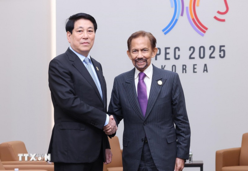 Vietnamese, Bruneian leaders pledge to promote practical development of bilateral ties -0